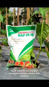 PUPUK DAP PLUS MEMPERCEPAT PERTUMBUHAN TANAMAN 1KG
