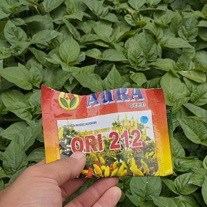 BENIH CABE RAWIT ORI 212 PAKET KOMBO 100 BATANG