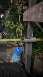 กระบอกขูดอ้อยสี่ใบมีด กระบอกขูดผิวอ้อย รุ่น 4 ใบมีด ใช้งานง่ายเบาแรง - สีดอดเบาแรง",