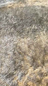 Celana Pendek Chino Dewasa Premium Quality Casual Pria Santai Katun Kantong Cowok Shorts