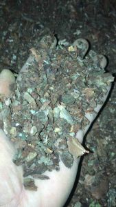Media Tanam Pine Tree Bark Kulit Pinus Cacah Kering 1kg