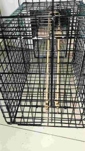 เพนียดแบบกรงกระจกต่อนนกกวัก