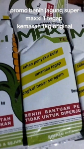 BENIH JAGUNG HIBRIDA SUPER MAXXI TEGAP 1 KEMASAN 1KG ORIGINAL