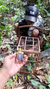 BLACK JACK 50ml Doping Vitamin Burung Premium Limited Edition Gacor Seketika By Bilbost