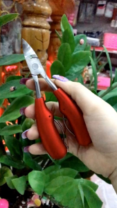 Kềm tháo móng cắt móng / kềm tháo đá PAIE siêu bền và bén