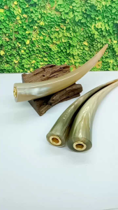 Once pipa cangklong tanduk kerbau bule super panjang R46