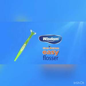 Wisdom Clean Between Easy Flosser: Handle + 25 Heads