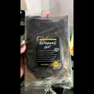 Daun Ketapang Grade A+ Ketapang Lumer Ketapang Super Ketapang Fermentasi