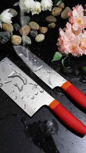 German Double-S Standing Macaron-Colored Kitchen Knife 2-Piece Set – Stainless Steel Household Chef’s Knives Set