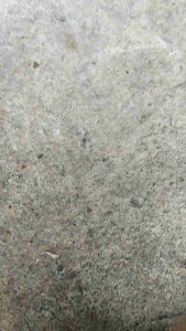 Gắp phây Sirius 50+110cc Jupiter Dài 50cm kèm tăng sên óc phụt nhún