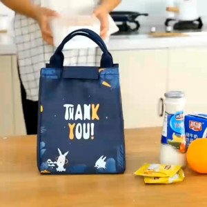 VC TAS BEKAL MAKANAN LUNCH BAG COOLER