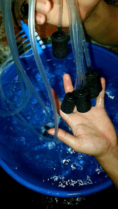 sủi oxi 12v và 220v gắn Quạt tản nhiệt