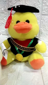 Boneka Wisuda 20cm dan 22 cm GRATIS cetak nama bahan lebih lembut