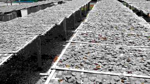 SET KOMBO JIMAT ORI + KEPING