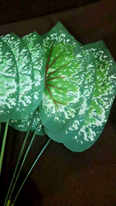 DAUN ARTIFICIAL DAUN KELADI CABANG 12 TANAMAN HIAS PALSU TANAMAN DEKORASI TANAMAN ARTIFICIAL /TANAMAN DEKORASI