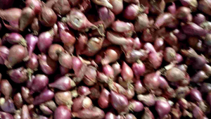 bawang merah pelengkap bumbu masakan 100.geam