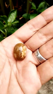 Batu akik mustika penolak bala