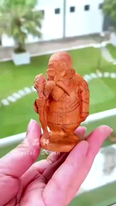 [MY🇲🇾 Ready Stock]=7CM高 =崖柏龟仙人摆件Master Roshi｜安神助眠 ✦ 提神醒脑 ✦ 空气净化｜