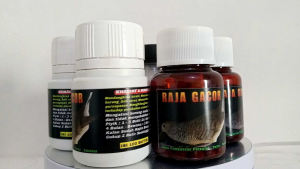 100 BUTIR JAMU HERBAL PERKUTUT RAJA GACOR