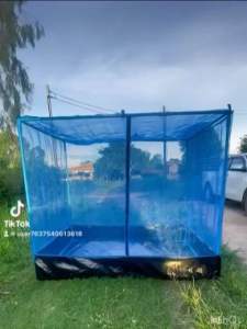 ตั๊กแตน กระชังตั๊กแตน กระชังเลี้ยงตั้กแตน กระชังสำเร็จรูปเลี้ยงตั๊กแตน ตั๊กแตนปาทังก้า