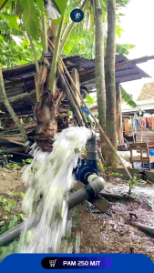 Pompa Air Modifikasi 2 Inch 250 Watt Sanyo Obohan