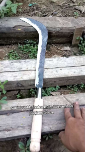 sabit ndorit serbaguna bisa buat ramban dan potong dahan bahan baja per panjang 50cm