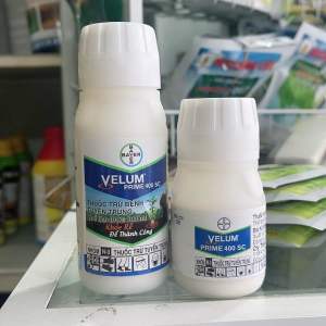 VELUM prime 400SC của Bayer chai 50ml và 100ml Thuốc phòng trừ bệnh tuyến trùng. Phun 1 lần Sạch tuyến trùng khoẻ cả vụ