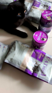 Thức ăn hạt cho mèo mọi lứa tuổi Cat Tgger Premium cat food sử dụng nguyên liệu sạch không phẩm màu và hương vị nhân tạo