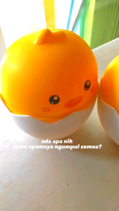 Tempat Tisu Gulung Lucu Kotak Motif Lucu motif Ayam