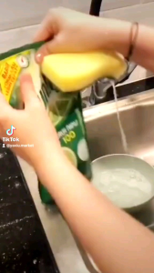 DISPENSER POMPA TEMPAT SABUN CAIR CUCI PIRING FREE SPONGE dispenser sabun 2in1
