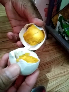 TELUR ASIN OVEN ORGANIK ASLI MALAN ISI 10pcs