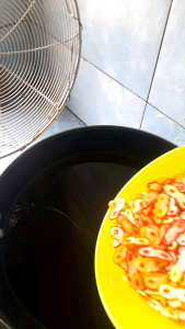kerupuk angka 8 mentah per 500gram