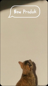 Tas ransel anak sekolah perempuan terbaru 2024 model sanrio kurumi morol my melody tas sekolah anak tas anak