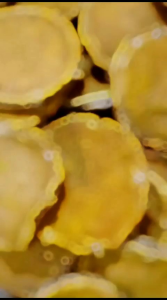 Jamu Herbal Tradisional Temulawak Iris Kering Super 500 Gr U/ Lambung