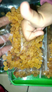 Kismis Simin Emas Premium: Penguat Hafalan Anak Makanan Otak