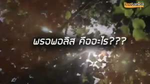 Beetanica Propolis ใช้ดีบอกต่อ พรอพอลิสชนิ ดน้ำสกัดเข้มข้น ตรา บีทานิก้า บรรเทาอาการเจ็บคอร้อนใน 24 ชม