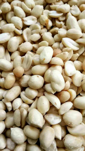 kacang kupas mentah ukuran sedang (41/51) kualias super.