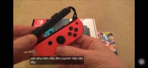 Dây đeo Joy Con Wrist Strap cho Nintendo Switch