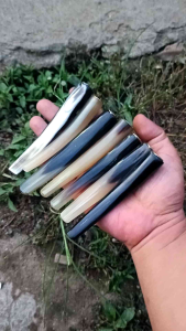 Pipa Cangklong Tanduk Kerbau Bentuk Oval