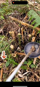 MATA PISAU BULAT MESIN POTONG RUMPUT MODEL CHAINSAW Gergaji Potong Rumput Berkualitas Pruner Untuk Potong Rumput Pengiriman Instan Mata Pisau - Lazada