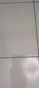 Buket Bunga murah isi 6 tangkai mawar || buket bunga mawar warna warni || Buket valentine Wisuda Ulang tahun