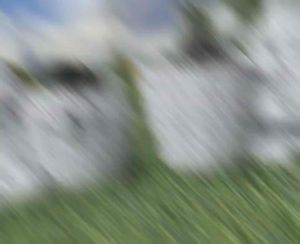 กระถางปลูกต้นไม้ น้องกระต่าย