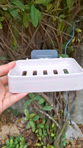 Khay Đựng Xà Bông Dán Tường- Giá Để Xà Phòng Nhựa