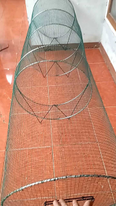 umbaran atau kuliaran burung harga per 3 meter