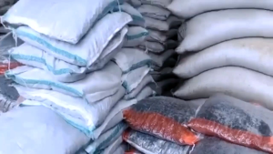 Aluvail-Media tanam tanah Vulkanik-media tanam murah-siap pakai pasti subur 3 kg