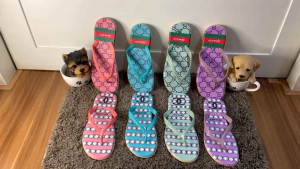 Sandal Jepit Wanita - Sendal Jepit Karet Jelly PCU - Sandal Japit Cewek motif CHN & GC