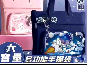 Capybara Tuition Bag A4 File Folder Large Capacity Handheld School Bag Homework Storage for Girls & Boys