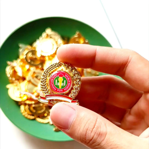 PIN BROSS PGRI
