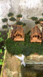 Pohon Rumah Bonsai Aquascape: Desain Taman Indoor yang Cantik