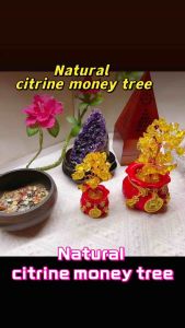Golden money tree figurines in red pots with gold accents and Chinese coin designs.